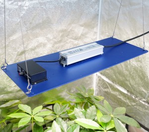 240W 480W Whosale Hydroponics Grow Led Grow Board Dimming Led Grow Light Panel for Indoor Veg Flower Plants