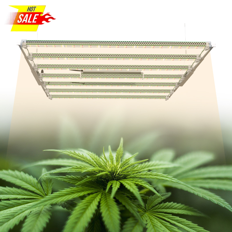 Fullspektrum LED-växtljus för inomhusodling