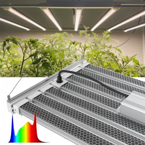 Led Agriculture 1000W Grow Light дар дохили бино