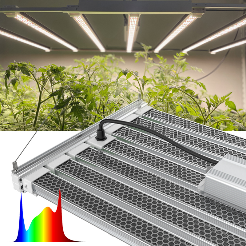 1000w Led Grow Light Commercial - Led Agriculture 1000W Grow Light Indoor – Pvison