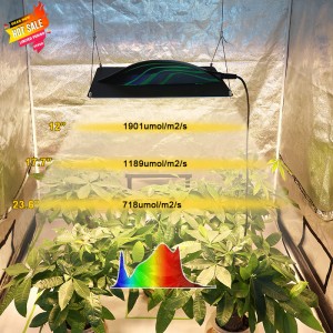 Quantephysik Board Led Grow Light 320W Indoor