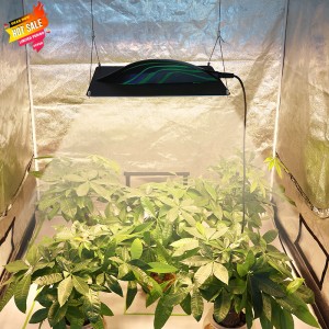 Greenhouse indoor 320W board LED grow light