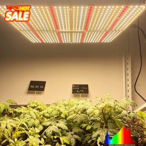 Llum de cultiu LED Quantum Board 150W per a interior