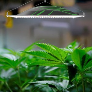 320W APP Dimming Lm301H Led Grow Light Indoor