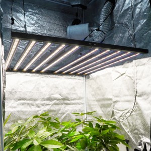 650W LED Plant Growing Tent Superior Quality Full Spectrum Greenhouse Vertical Waterproof Hydroponic