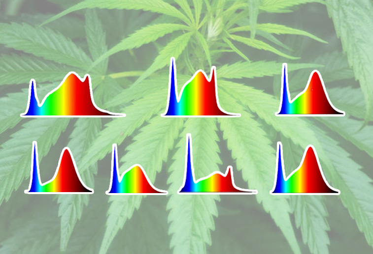 Koji su efekti različitih raspona spektra na fiziologiju biljaka?